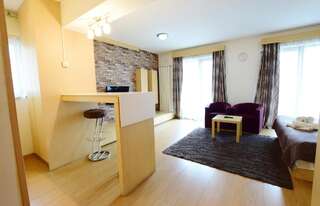 Апарт-отели Decebal Residence Apartments Бухарест Номер-студио с кроватью размера «king-size» 7-7