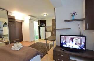 Апарт-отели Decebal Residence Apartments Бухарест Номер-студио с кроватью размера «queen-size» 2-6