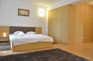 Апарт-отели Decebal Residence Apartments Бухарест Номер-студио с кроватью размера «king-size» 5-3